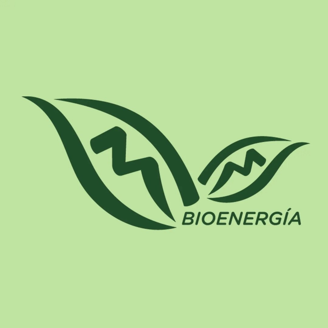 Biomass power plant